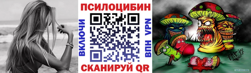 Галлюциногенные грибы MAGIC MUSHROOMS  где можно купить   блэк спрут   Макушино 